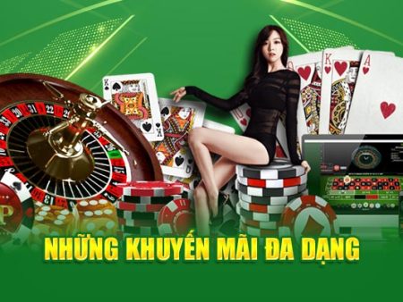 1126bet-Dẫn đầu trong trải nghiệm casino trực tuyến!